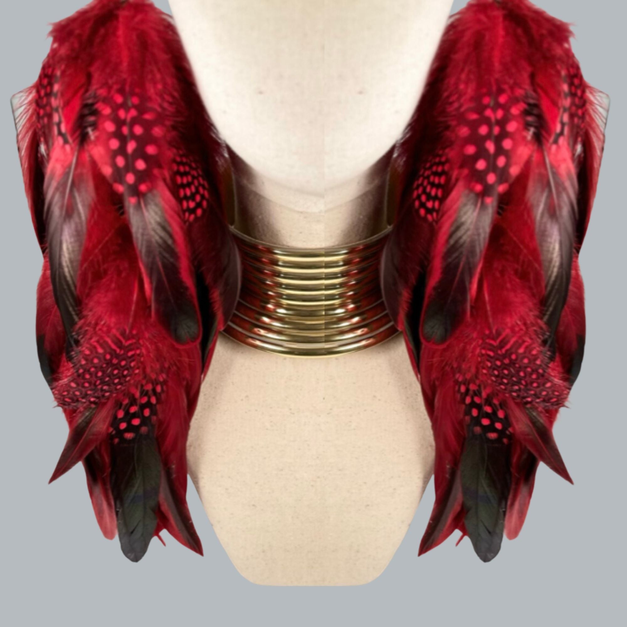 Red Schlappen and Red Dotted Guinea Long Dangle Feather Earrings