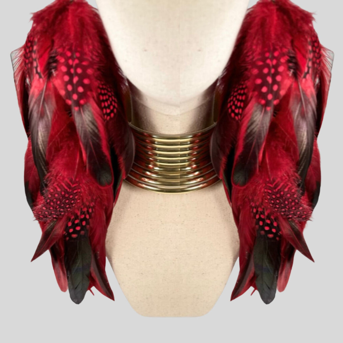 Red Schlappen and Red Dotted Guinea Long Dangle Feather Earrings